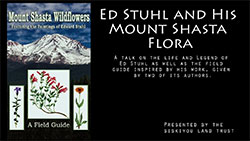 Ed Stuhl and His Mount Shasta Flora