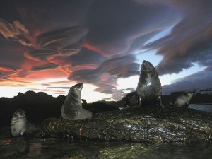 Lenticular clouds all over the world Lenticular clouds all over the world
