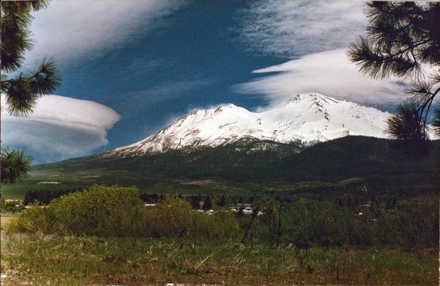 Offset Lenticular - photo by Tonkin-Boomer
