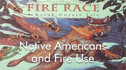 Learning From Native American Fire Use