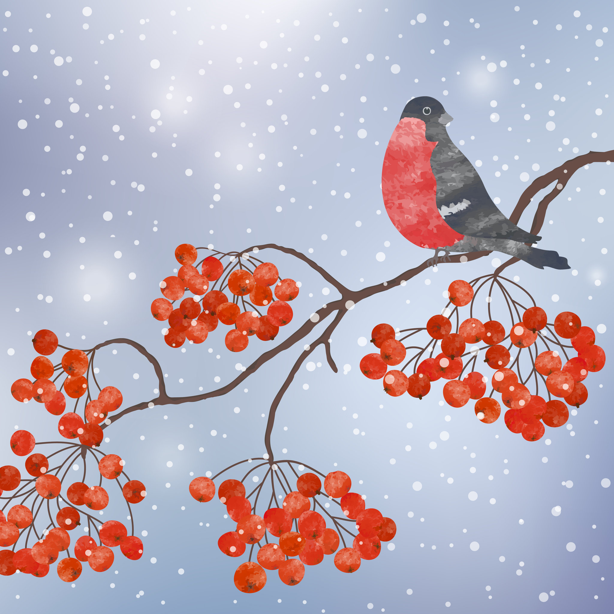 Snowy red berries with bird
