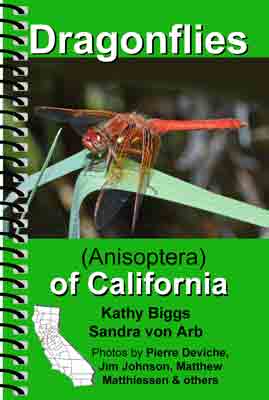 Kathy Biggs - Dragonflies Of California