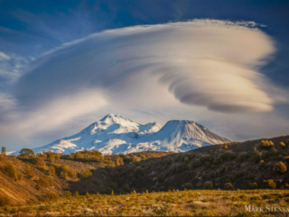 Stacked Lenticular by Mark Stensaas