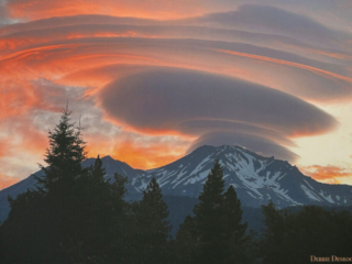 Wild Fire Lenticular by Debbie Desrochers