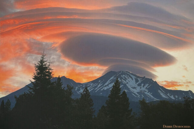 Wild Fire Lenticular by Debbie Desrochers