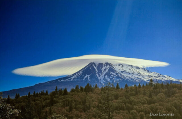 Sun Shade Lenticular by Dean Lobovits