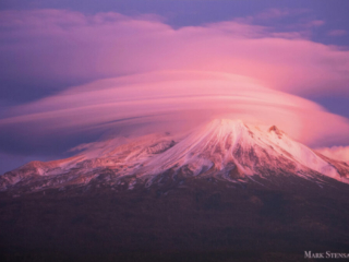 Pink Layered Lenticular cy Mark Stensaas