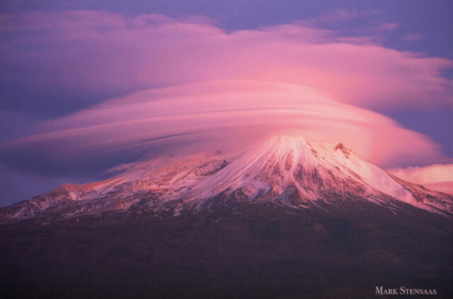 Pink Layered Lenticular cy Mark Stensaas