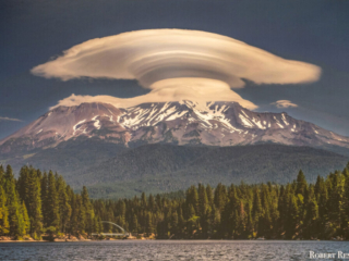 Mushroom Lenticular by Robert Renick