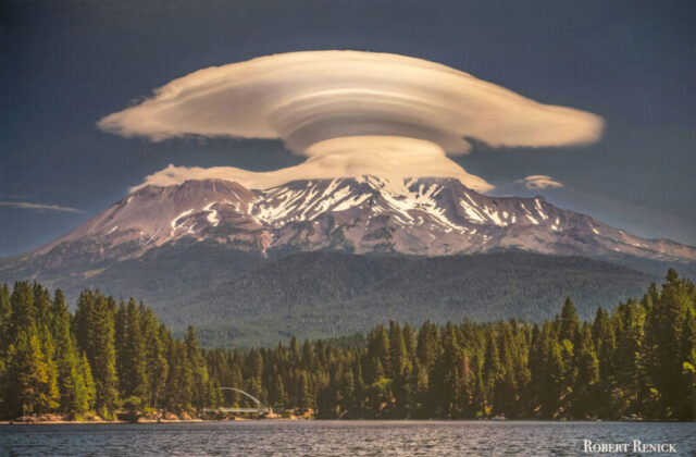 Mushroom Lenticular by Robert Renick