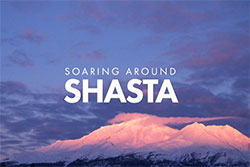 Soaring Around Shasta