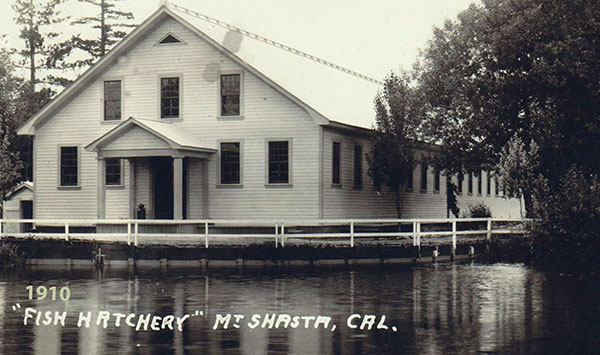 Fish and Game Building 1910